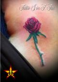 real rose tattoo.jpg